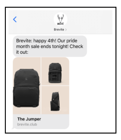 SMS Marketing Campaign Example - Brevite Pride Month Sale