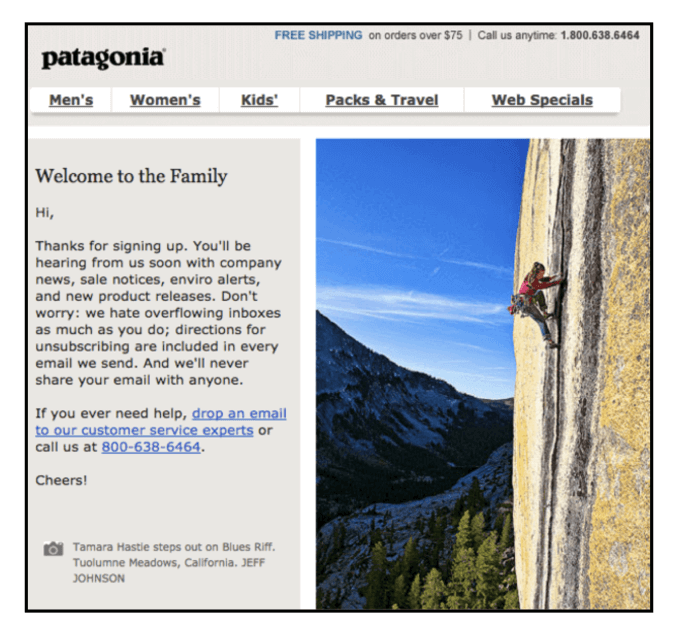 Improve Ecommerce Customer Experience - Patagonia Welcome Page