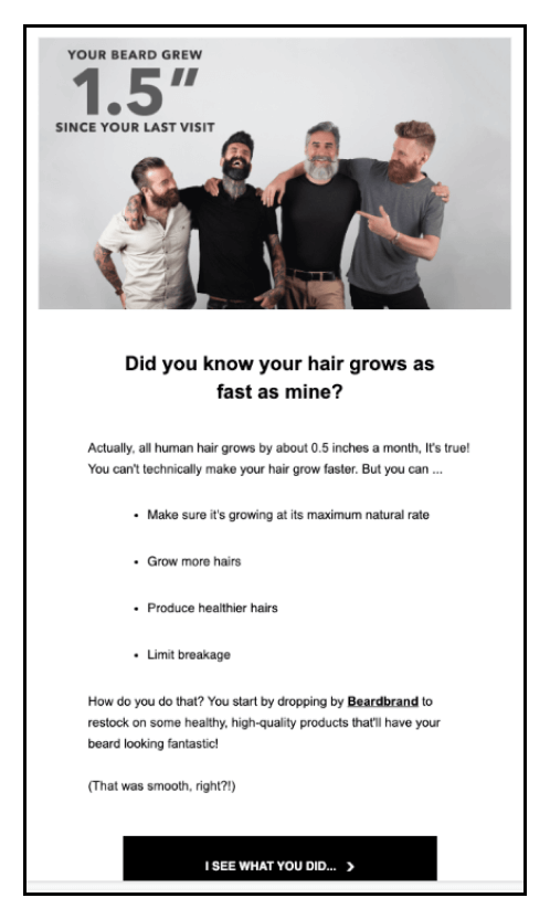 RFM Segmentation - Beardbrand Email Campaign