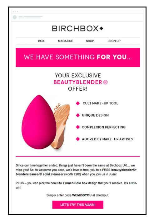 RFM Segmentation - Birchbox Winback Email