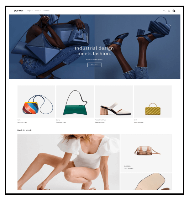 The Best Shopify Themes - Dawn