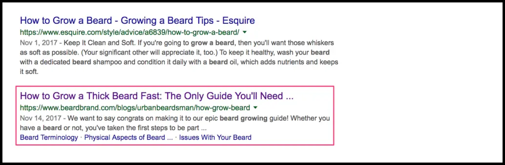 Search engine optimization and content marketing by Beardbrand at Awareness Stage