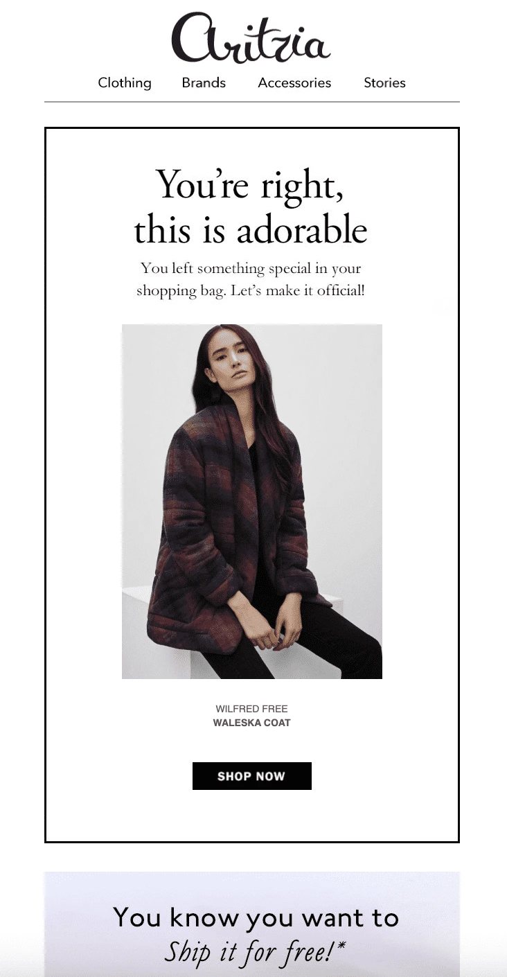 Flash Sales email example - Aritzia