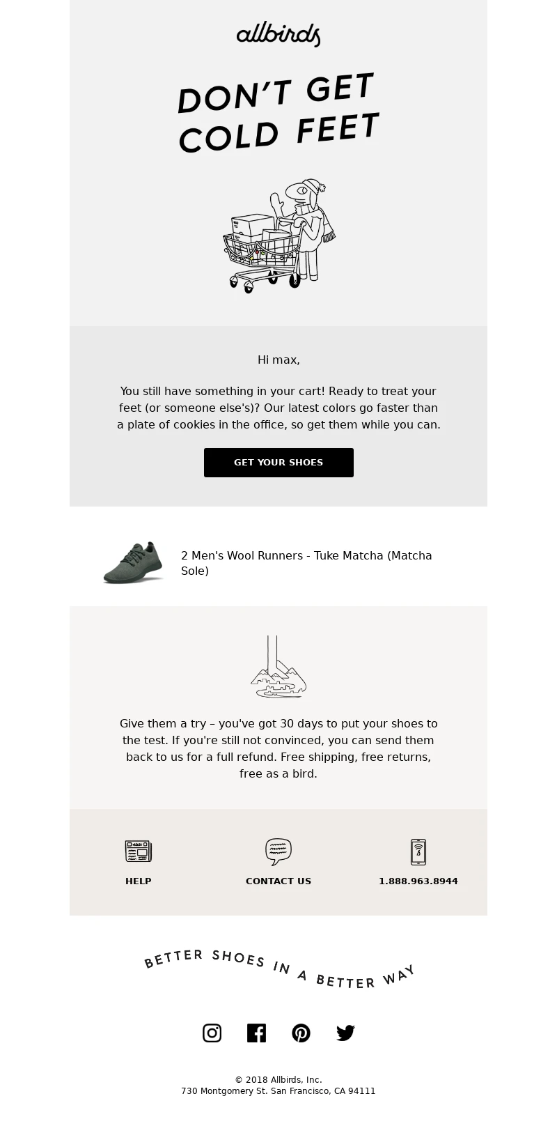 Email Marketing Ideas-Social media Integration like Allbirds