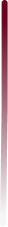 Background Vector - Lifesight