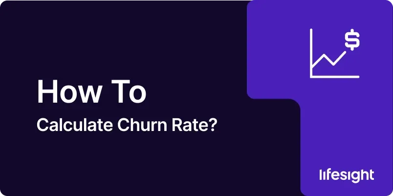 How to Calculate Churn Rate 1x 355b72dec4 - Lifesight