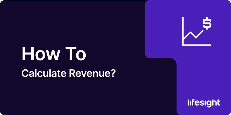 How to Calculate Revenue 1 - Lifesight