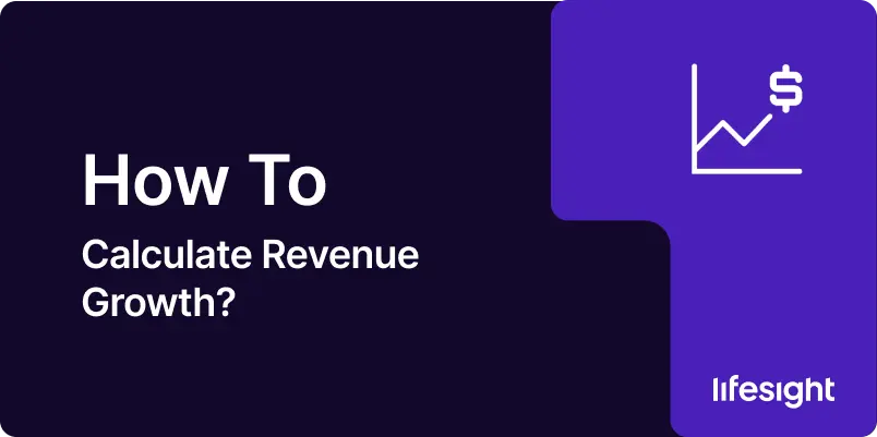 How to Calculate Revenue Growth 1 - Lifesight