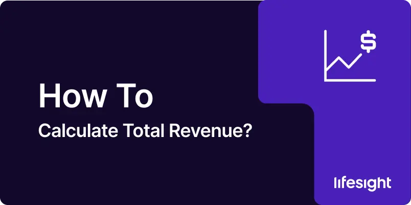 How to Calculate Total Revenue 1 - Lifesight