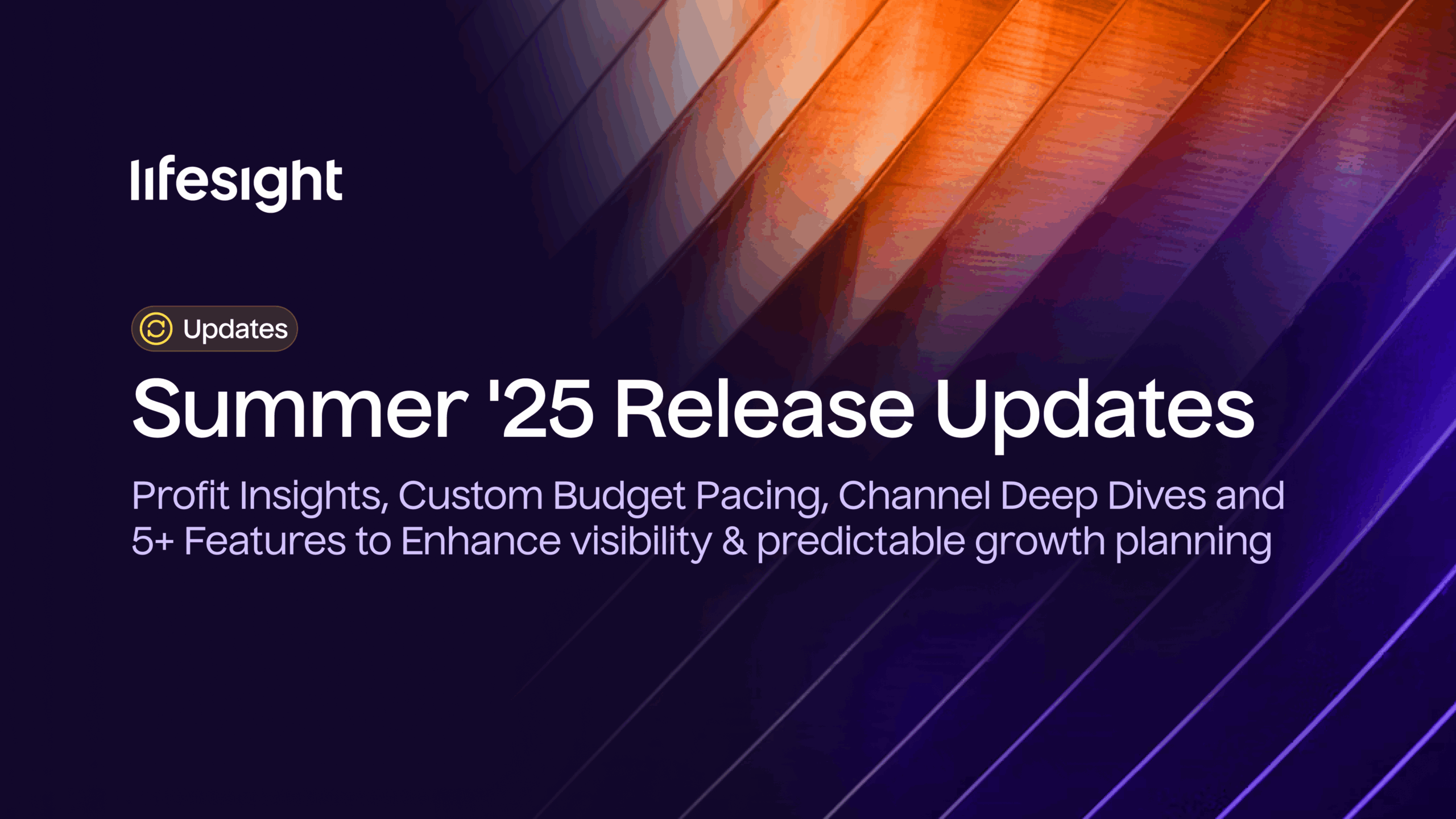 Lifesight Summer Updates scaled - Lifesight