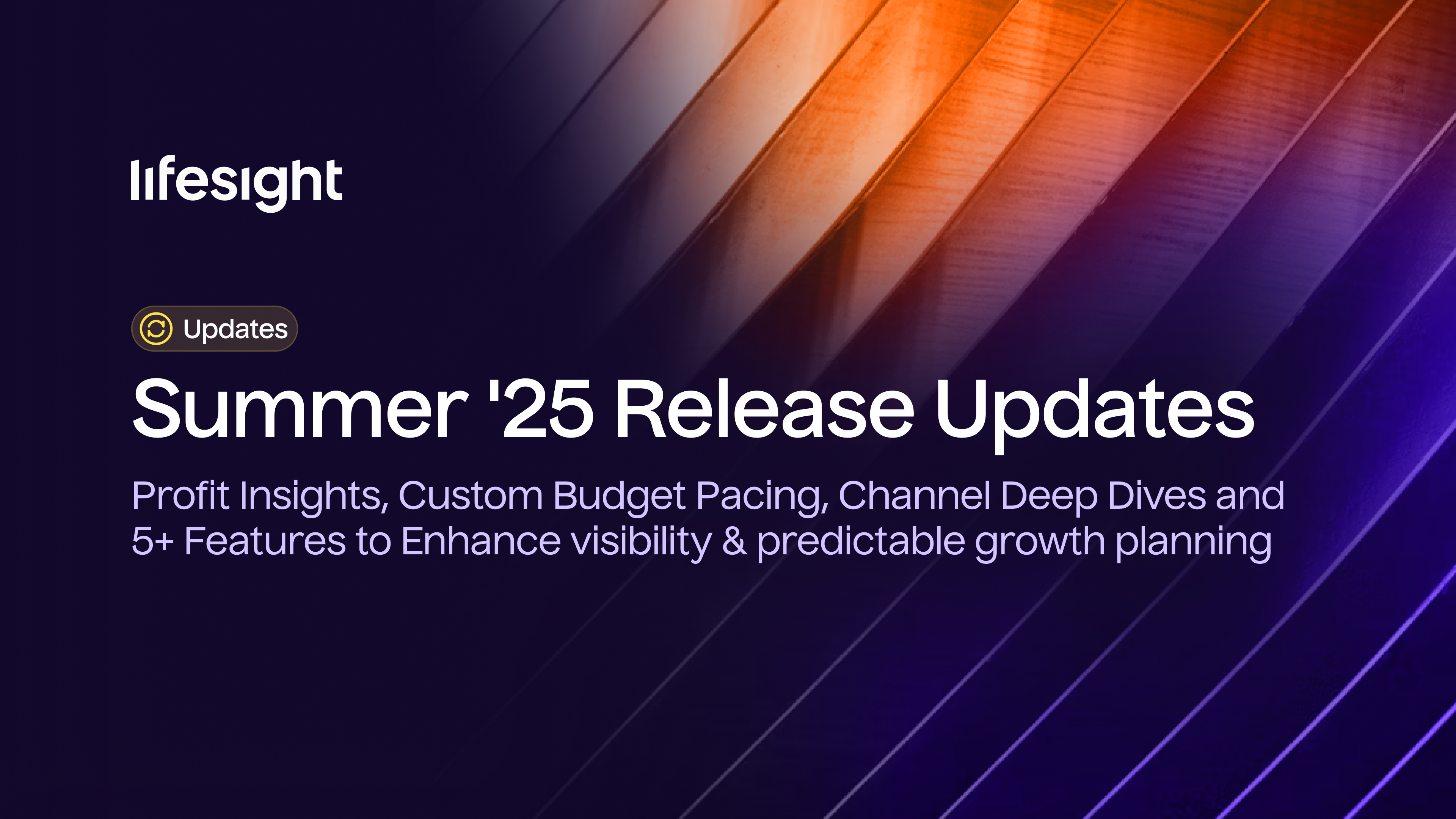 Lifesight Summer Updates - Lifesight