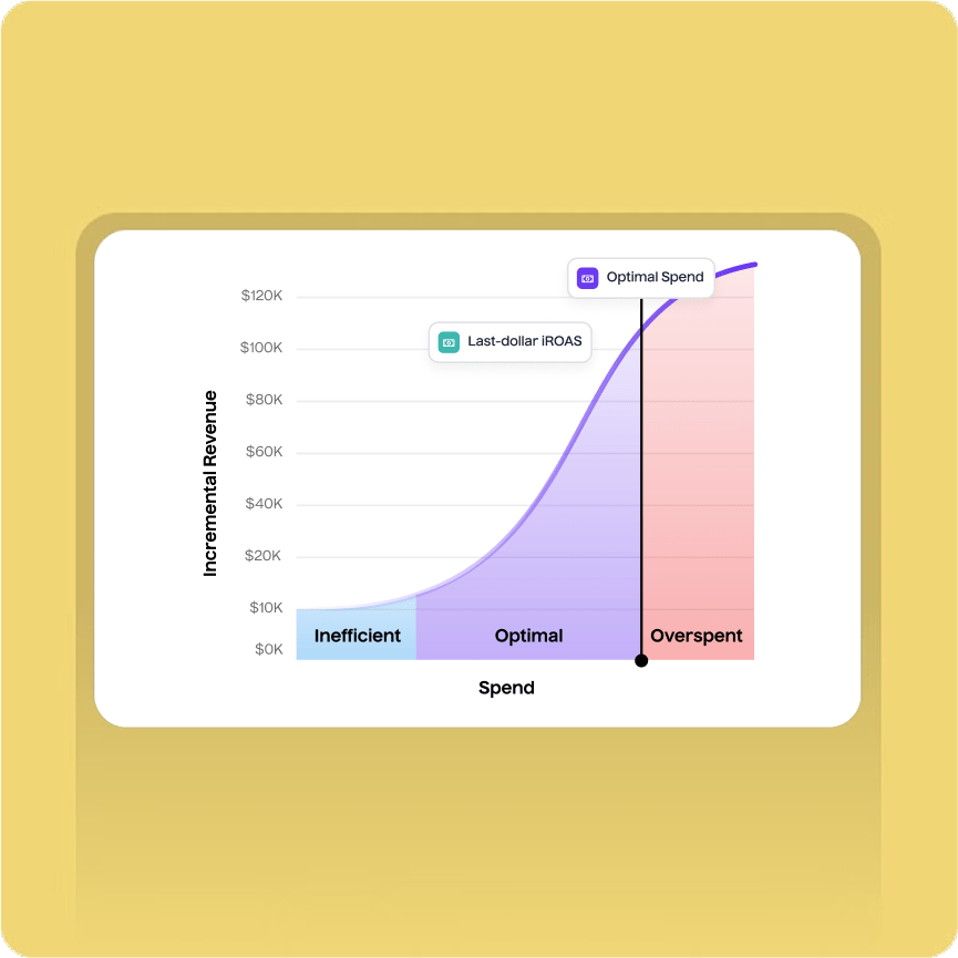 Optimize For Profit Growth on Autopilot - Lifesight