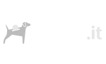Segugio