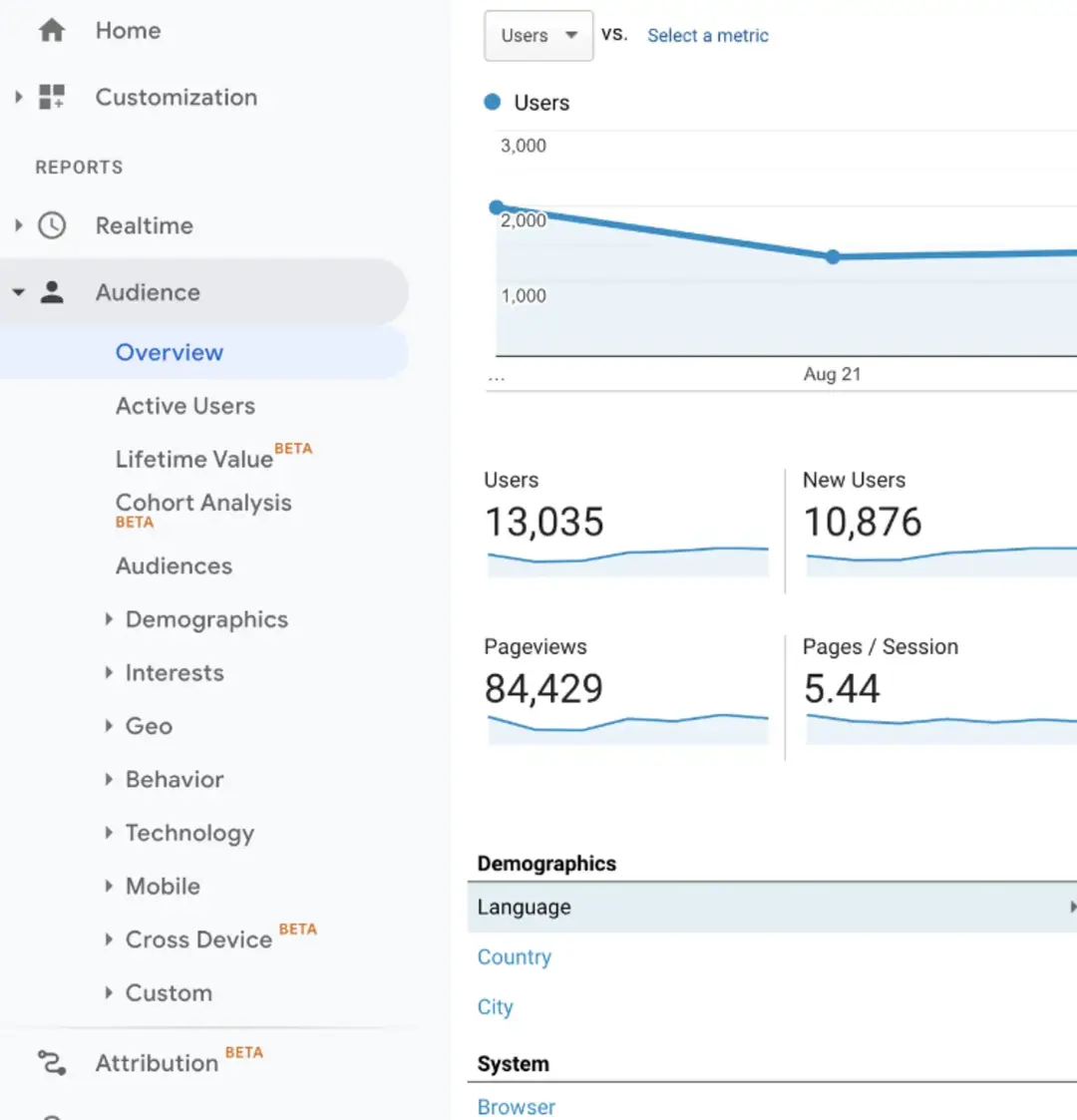 audience overview report - Lifesight