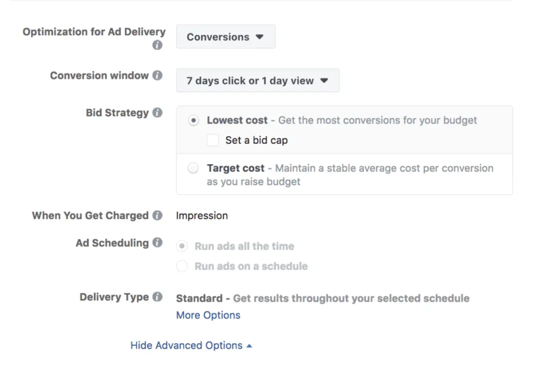 bidding strategy in facebook ads - Lifesight