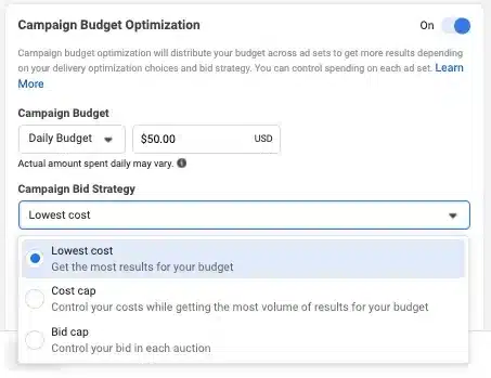 campaign bidding strategies in facebook ads manager 4917874030 - Lifesight