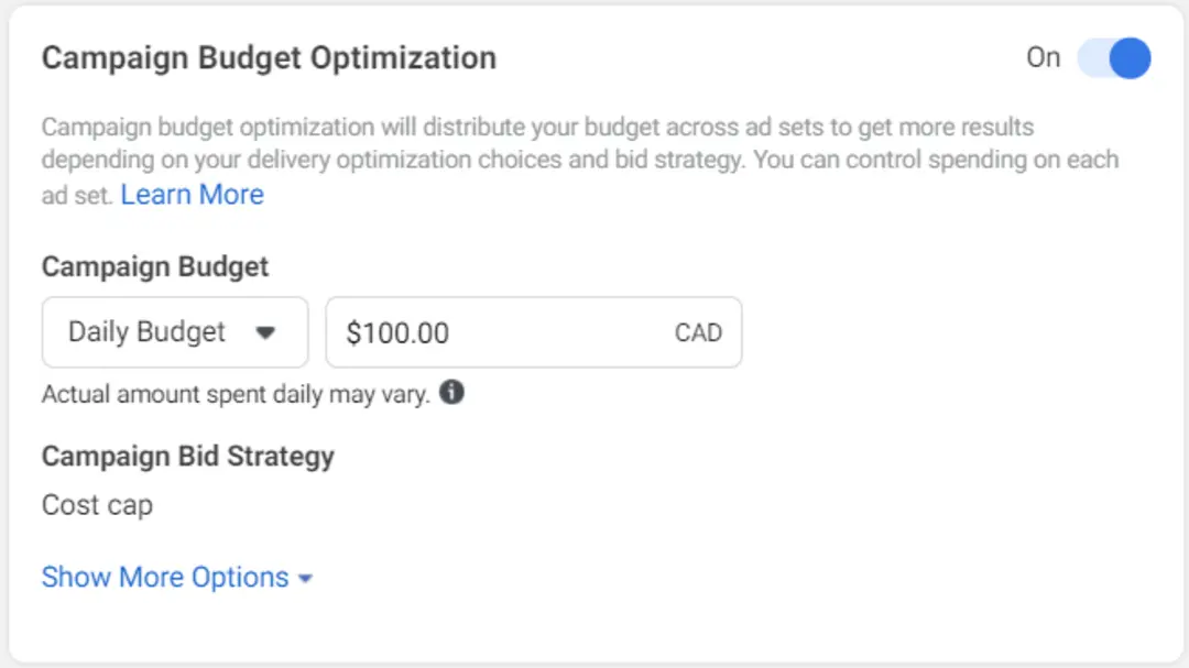 cost cap bidding strategy in facebook ads - Lifesight