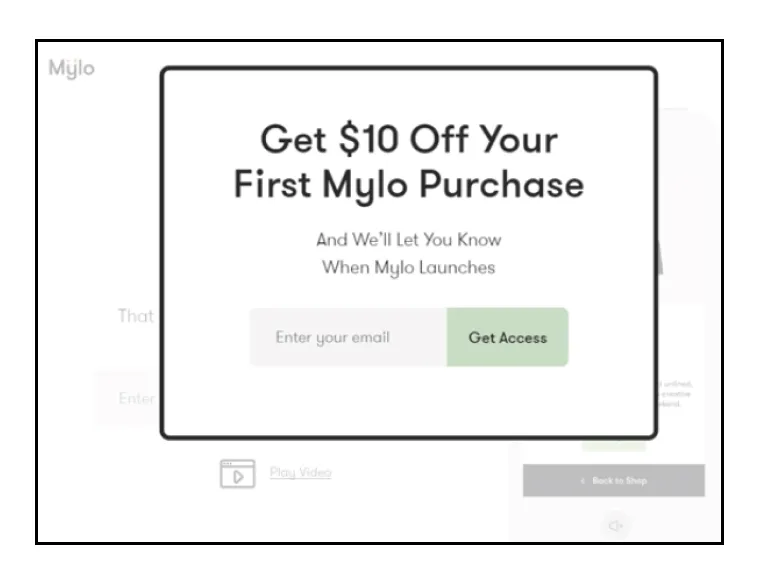 Ecommerce Customer Pain Point - Model Window Popup