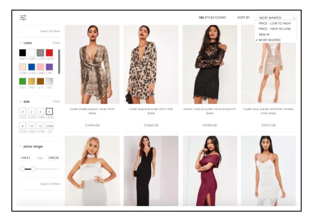 Ecommerce Customer Pain Point - Product Filters