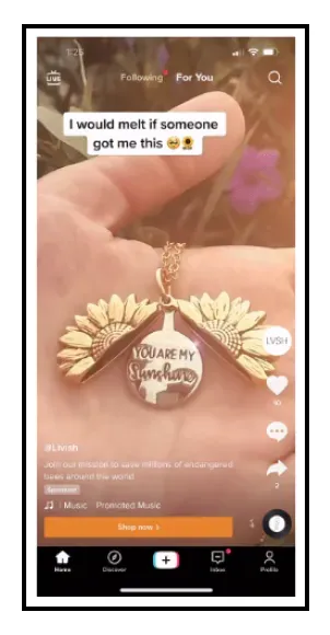 leverage different types of tiktok ecommerce ads in feed ads bb638912e4 - Lifesight