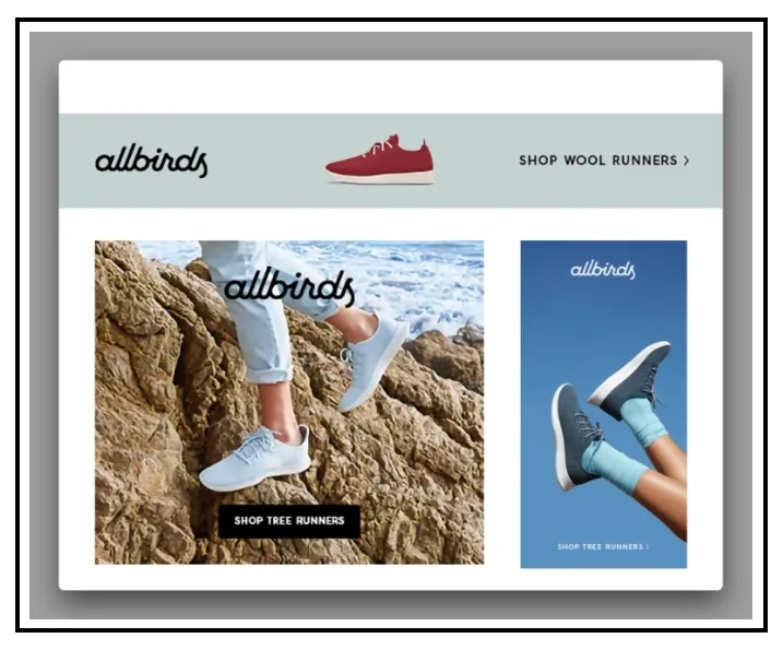 optimize your display ads by allbirds cc15060857 - Lifesight