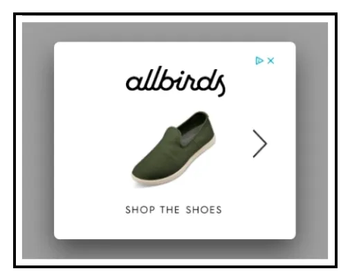 optimize your display ads from allbirds ade7ec3c96 - Lifesight