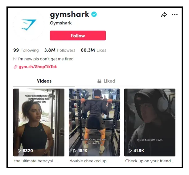 proven content ideas for tiktok ecommerce f727e7944a - Lifesight