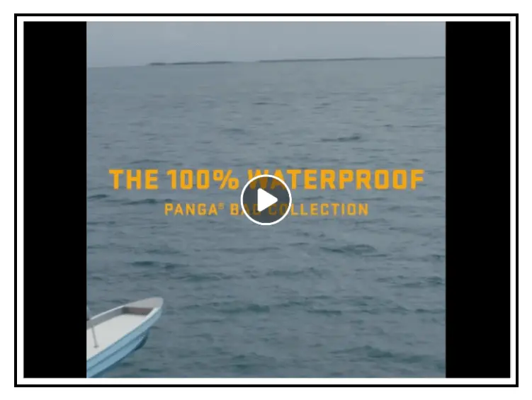 run paid social media ad campaigns tips to increase sales on shopify 2ac6320dfe - Lifesight