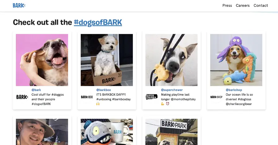 strategies to build brand equity engage with customers like bark f208a5c2ae - Lifesight
