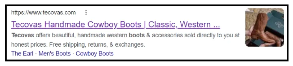 types of rich snippets for ecommerce stores organization snippets 65c3078551 - Lifesight