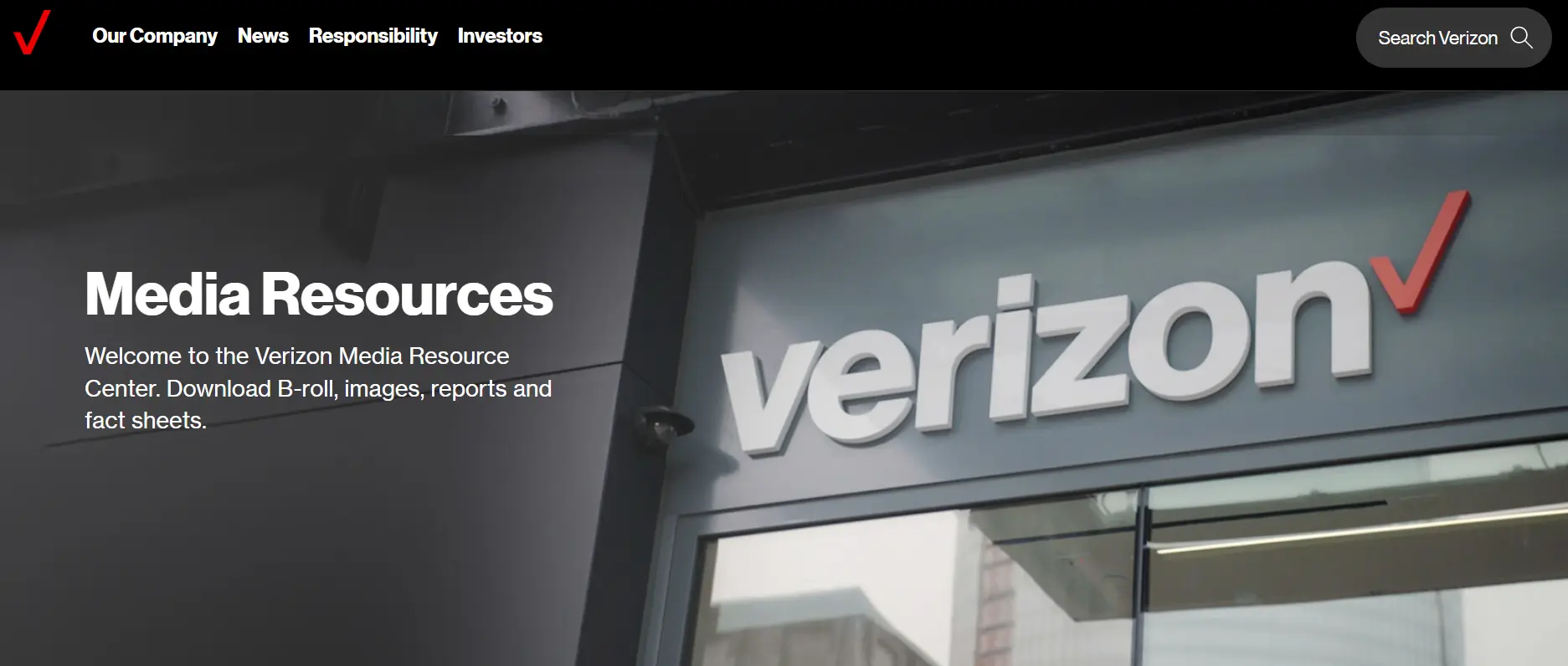 verizon media digital media buying platform - Lifesight